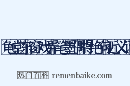 龟堂东窗戏弄笔墨偶得绝句近义词是什么意思的图片